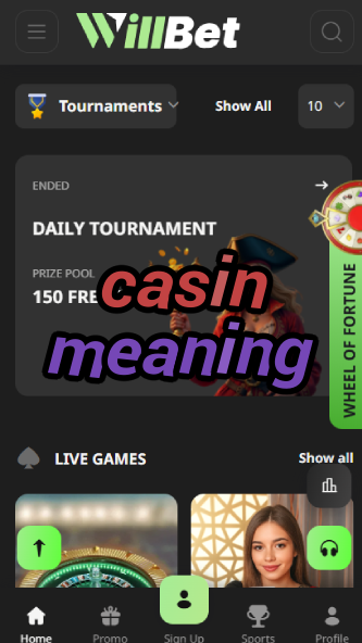 Casin Meaning - Understanding Casino Terminology-casinodiria.ydblkf.net