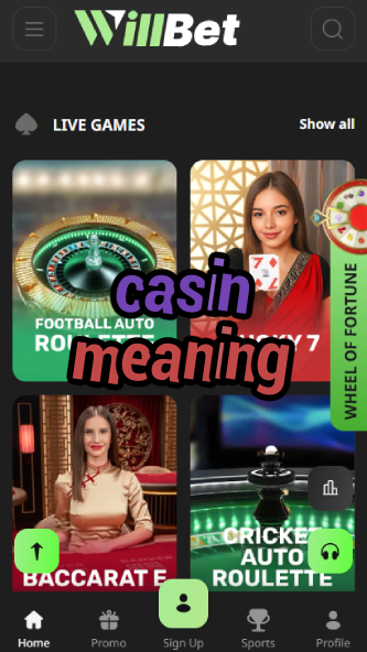 Casin Meaning - Understanding Casino Terminology-casinodiria.ydblkf.net