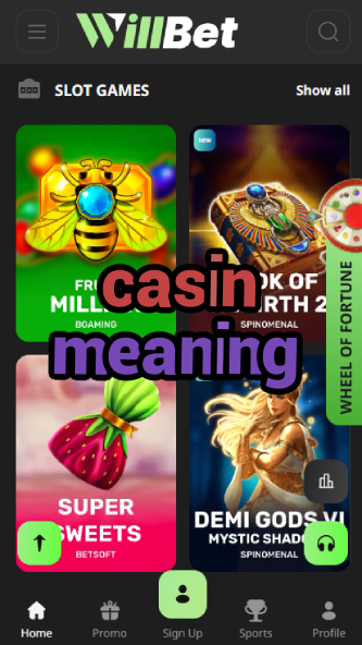Casin Meaning - Understanding Casino Terminology-casinodiria.ydblkf.net